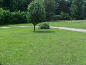 4248 Parrish Road Freedom, IN 47431 - Photo 3 of 23