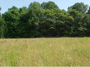4248 Parrish Road Freedom, IN 47431 - Photo 8 of 23