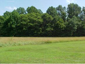4248 Parrish Road Freedom, IN 47431 - Photo 10 of 23