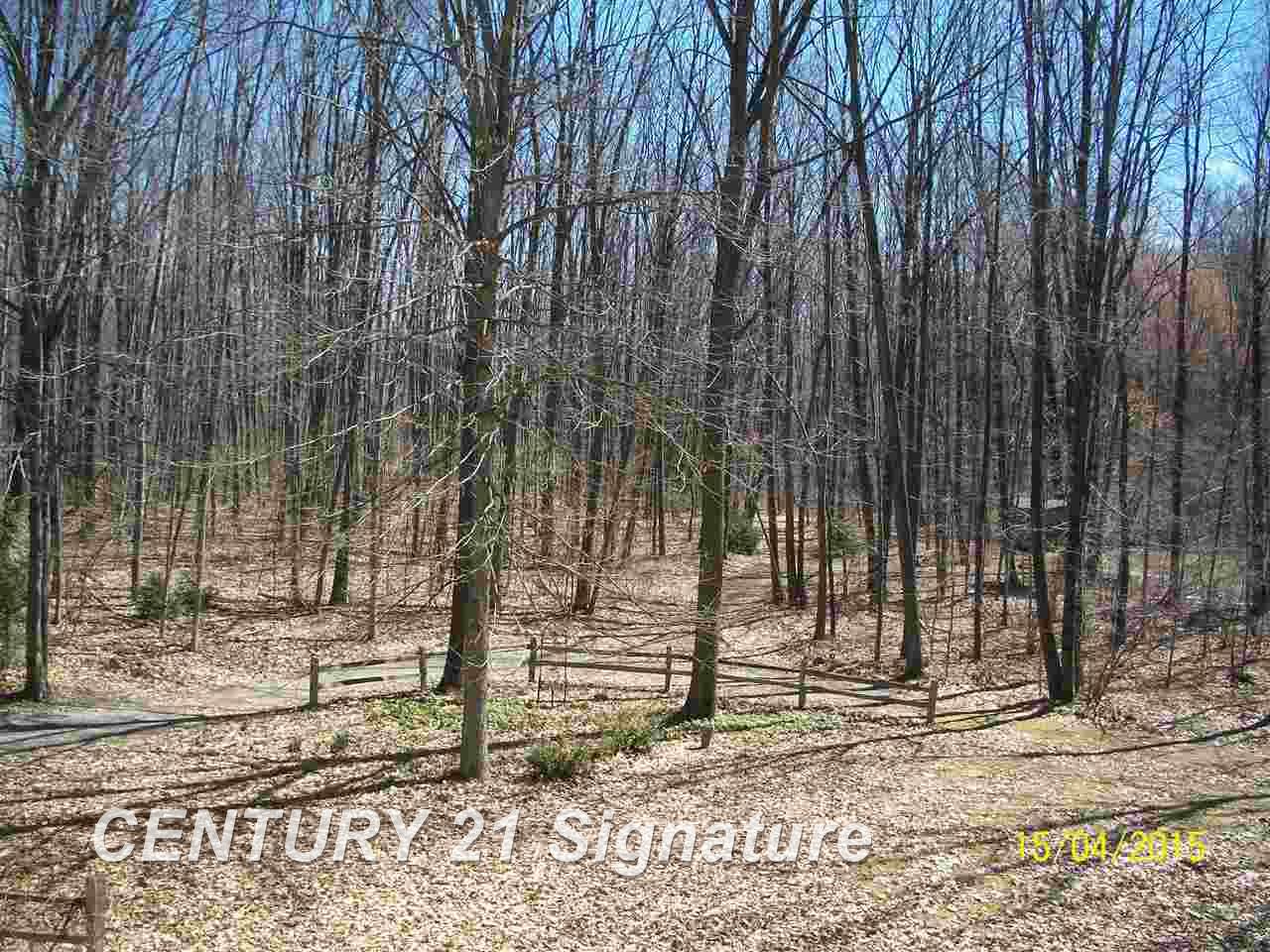 6409 Gary Road Chesaning, MI 48616 - Photo 24 of 24