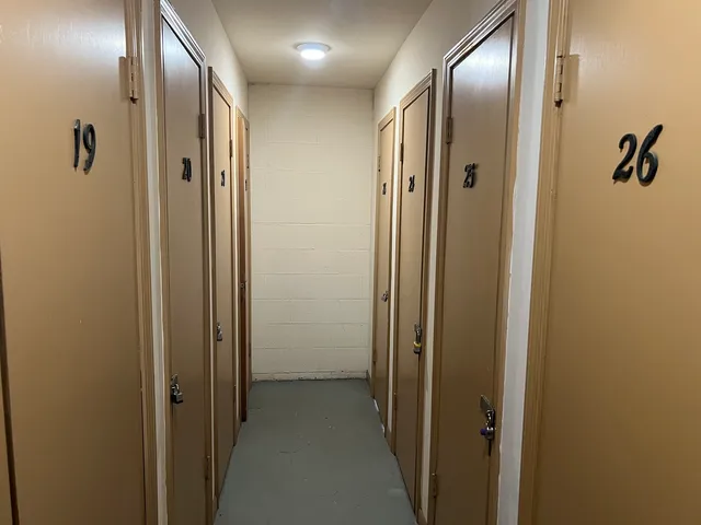 a view of a swimming pool and trees in the background