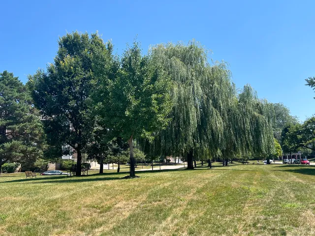 a view of outdoor space and yard