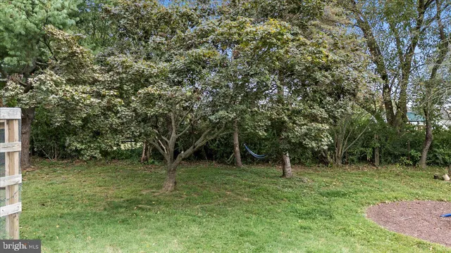 a view of a park with a tree