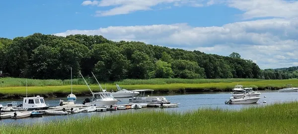 a view of a big yard with lots of green space