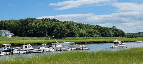 a view of a garden with houses