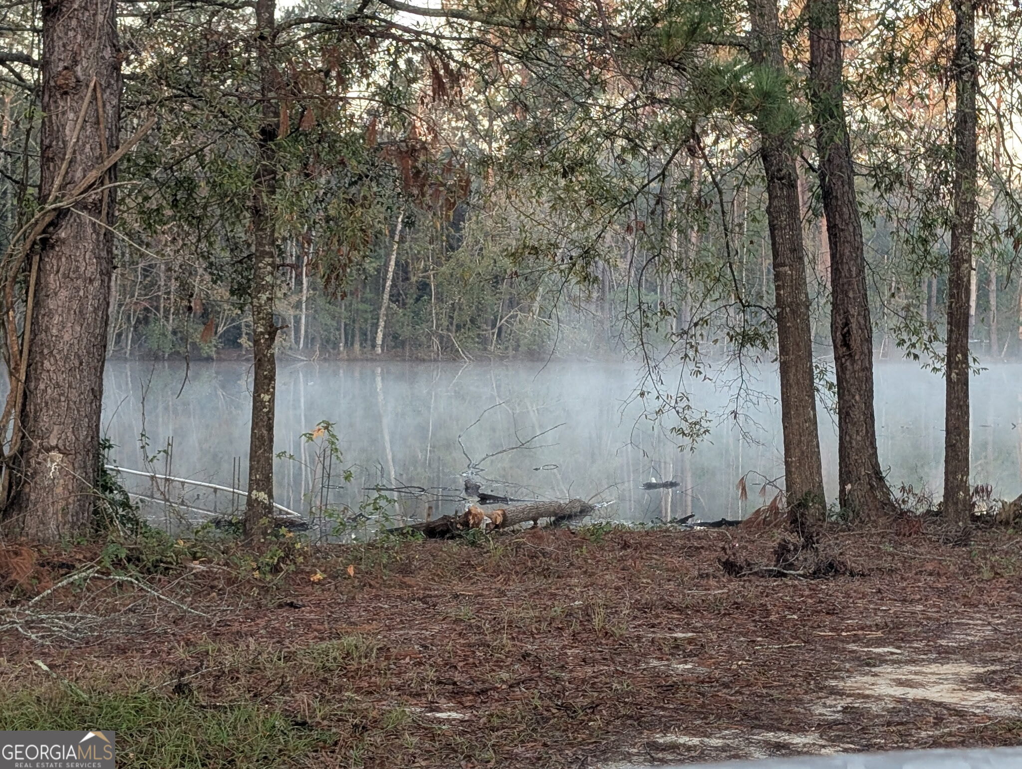 3841 Wilson Road Davisboro, GA 31018 - Photo 14 of 37