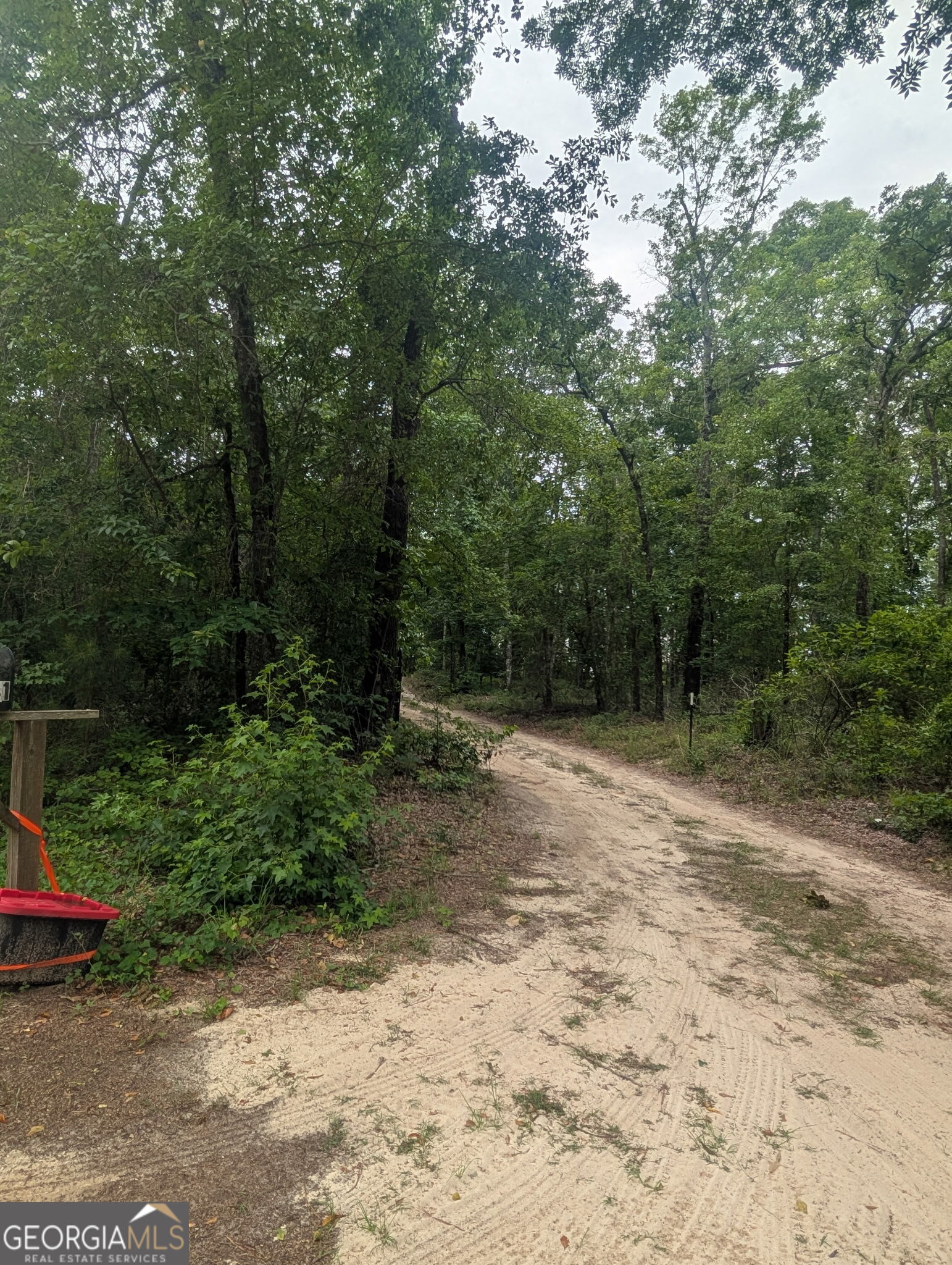 3841 Wilson Road Davisboro, GA 31018 - Photo 19 of 37