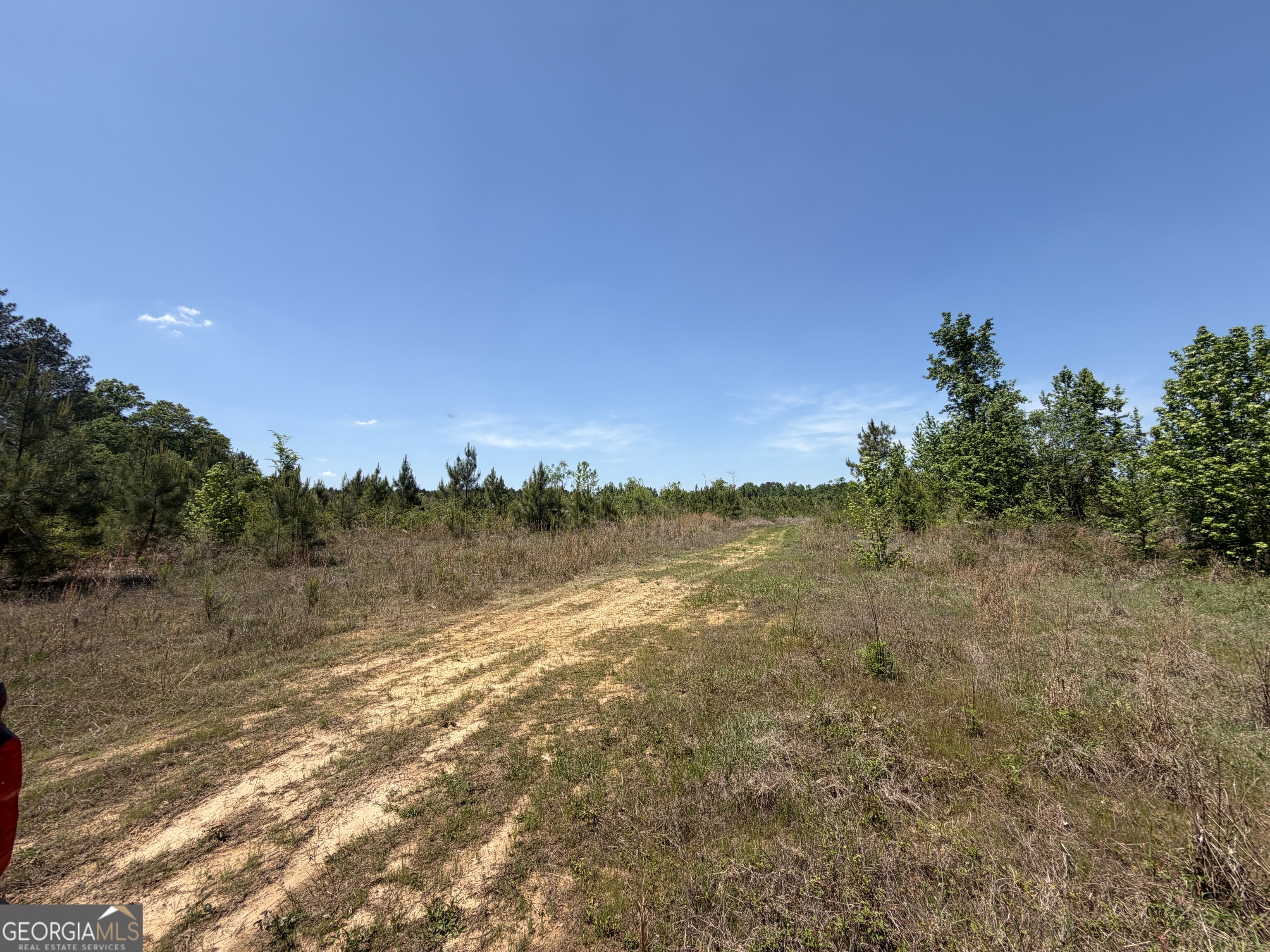 3841 Wilson Road Davisboro, GA 31018 - Photo 36 of 37