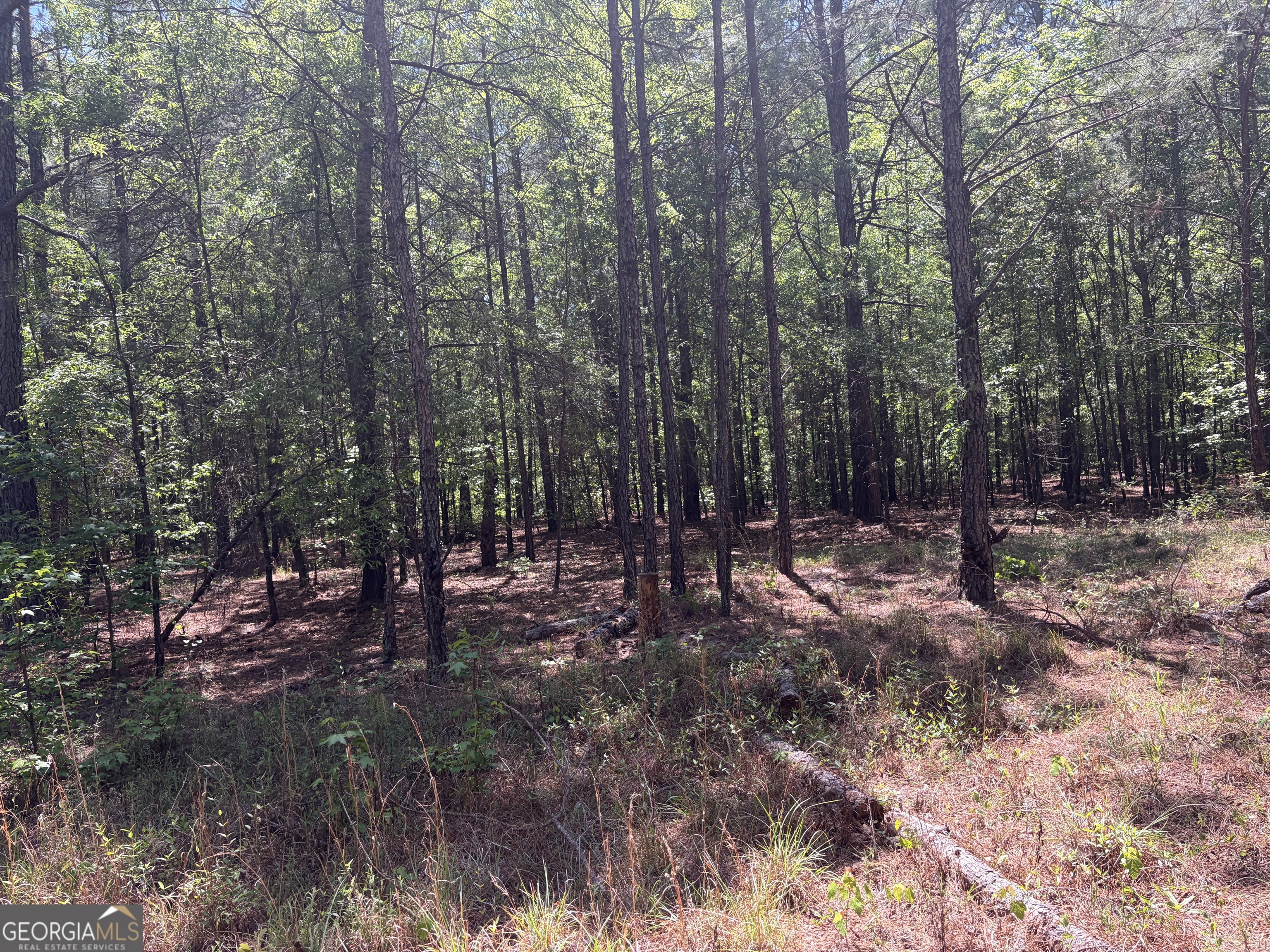 3841 Wilson Road Davisboro, GA 31018 - Photo 37 of 37
