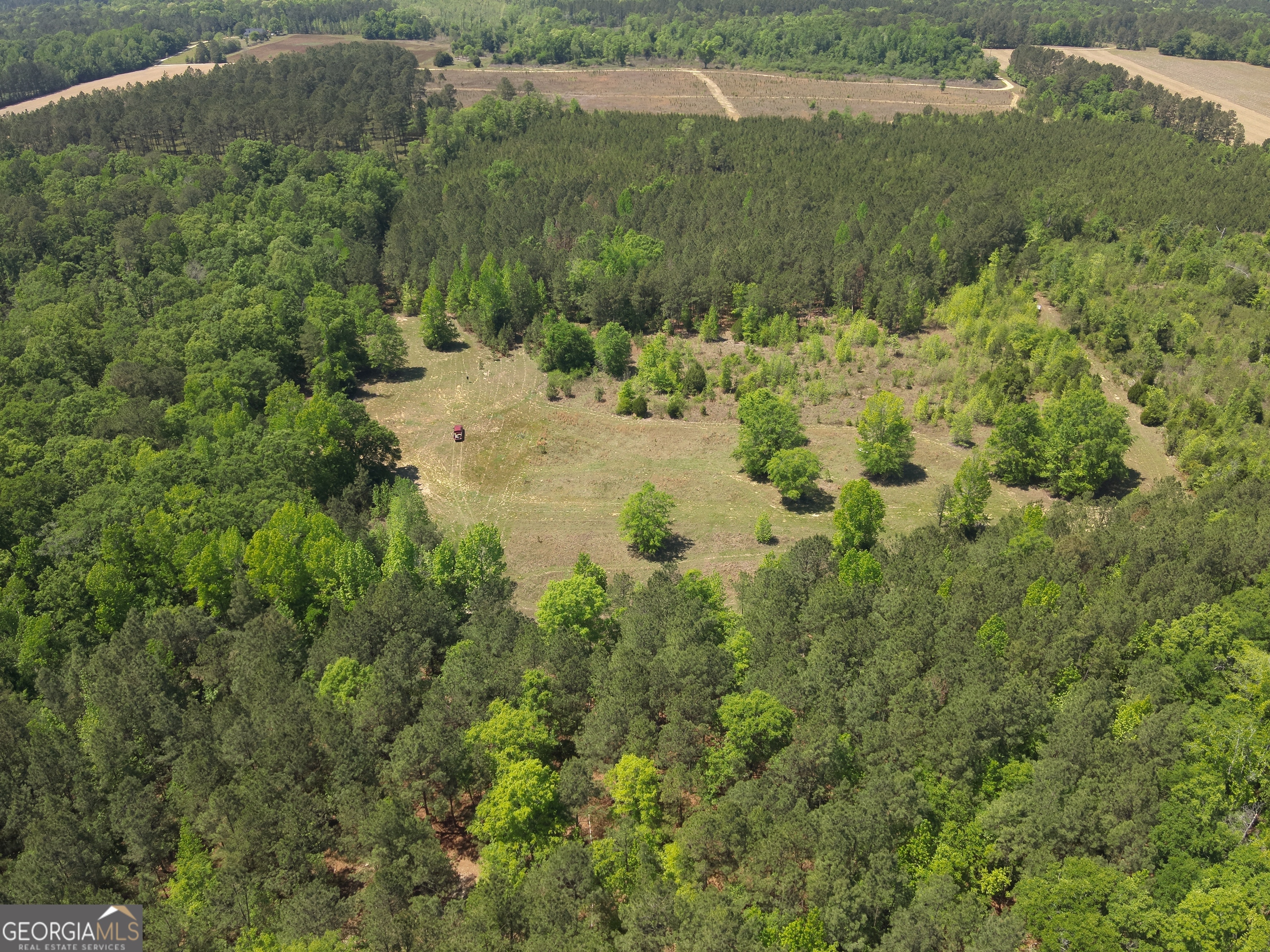 3841 Wilson Road Davisboro, GA 31018 - Photo 6 of 37