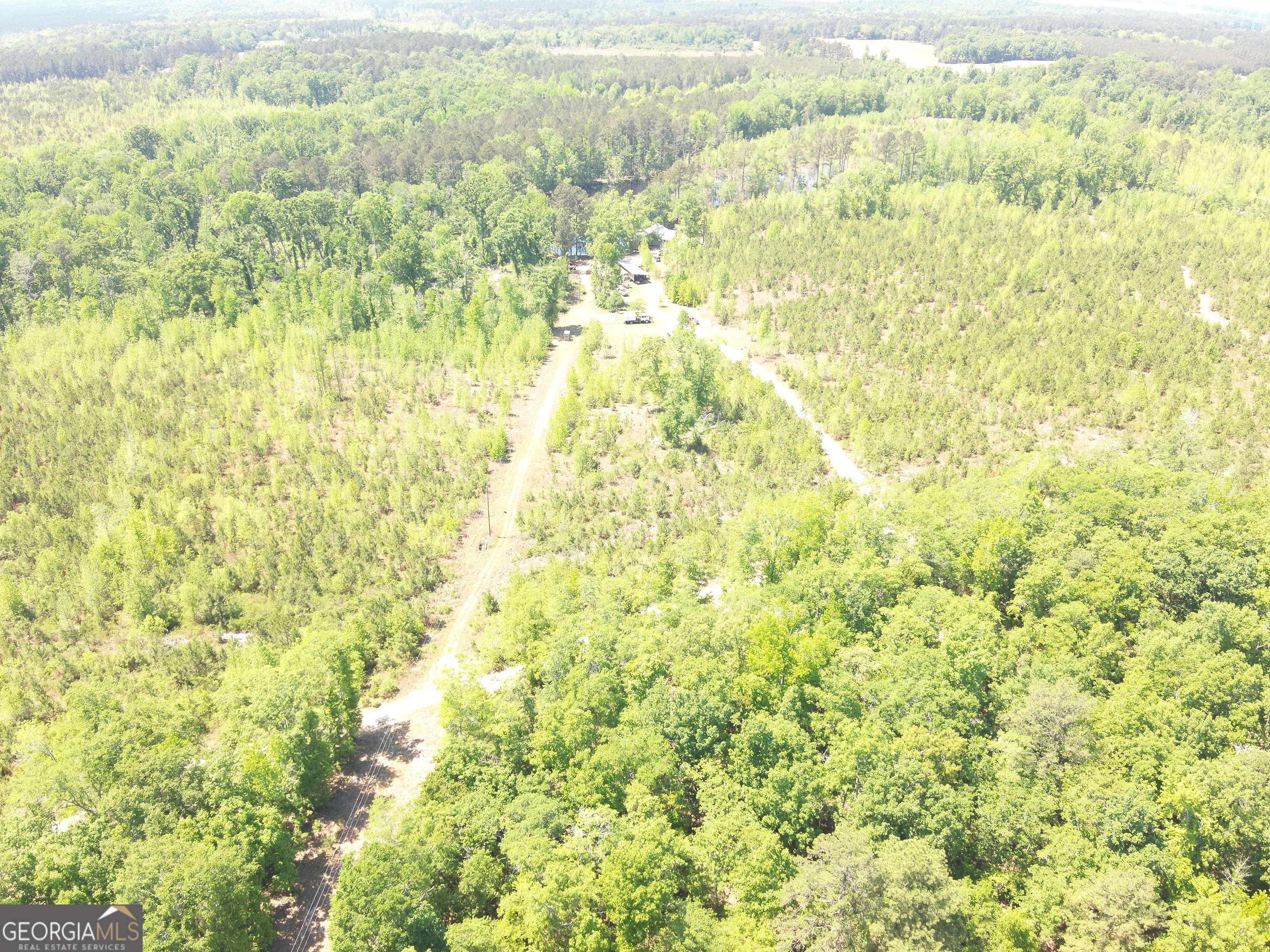 3841 Wilson Road Davisboro, GA 31018 - Photo 9 of 37