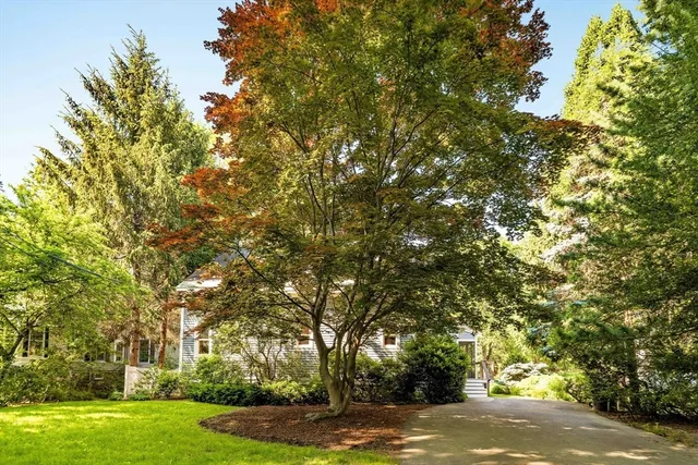 a view of a yard with plants and trees beside of it
