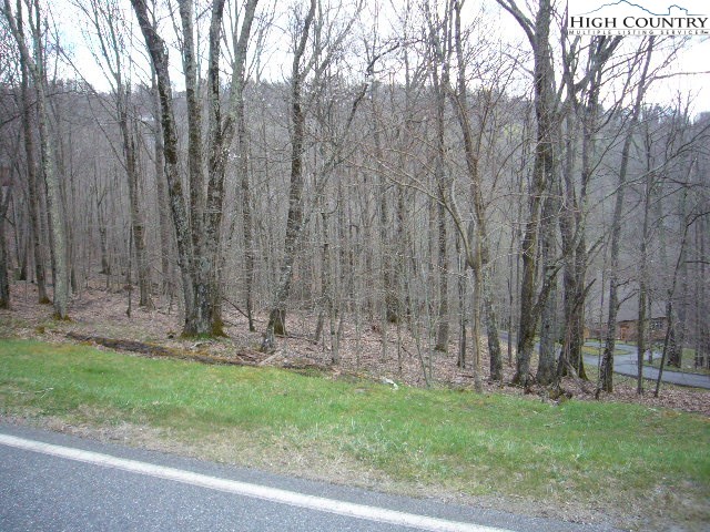 313 Pine Ridge Road Beech Mountain, NC 28604 - Photo 1 of 1