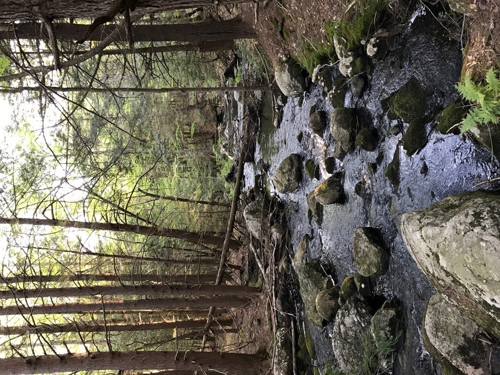 50 Gates Road Princeton, MA 01541 - Photo 8 of 11 a view of house with a yard