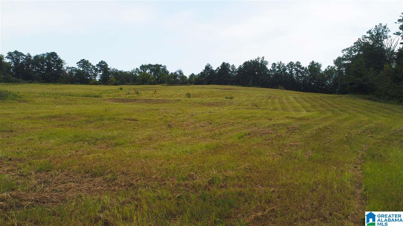 885 Hitching Post Lane, Unit 20 ACRES Birmingham, AL 35210 - Photo 15 of 16