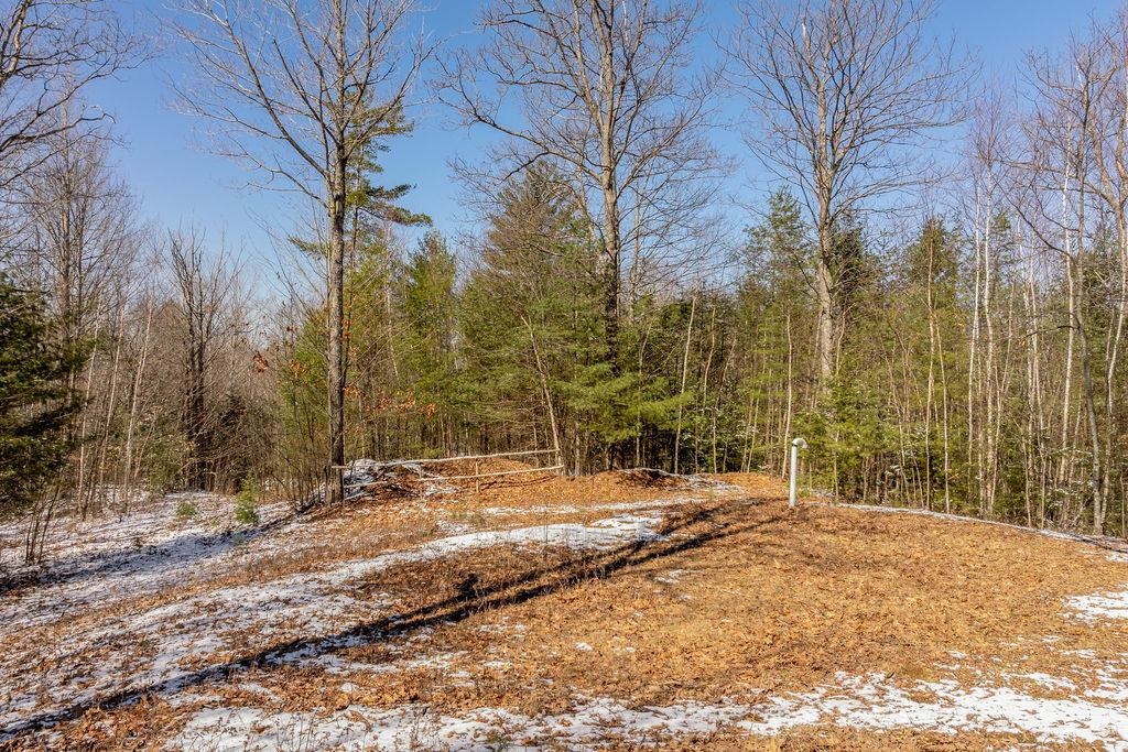 77 Williams Road Canaan, NH 03741 - Photo 49 of 59