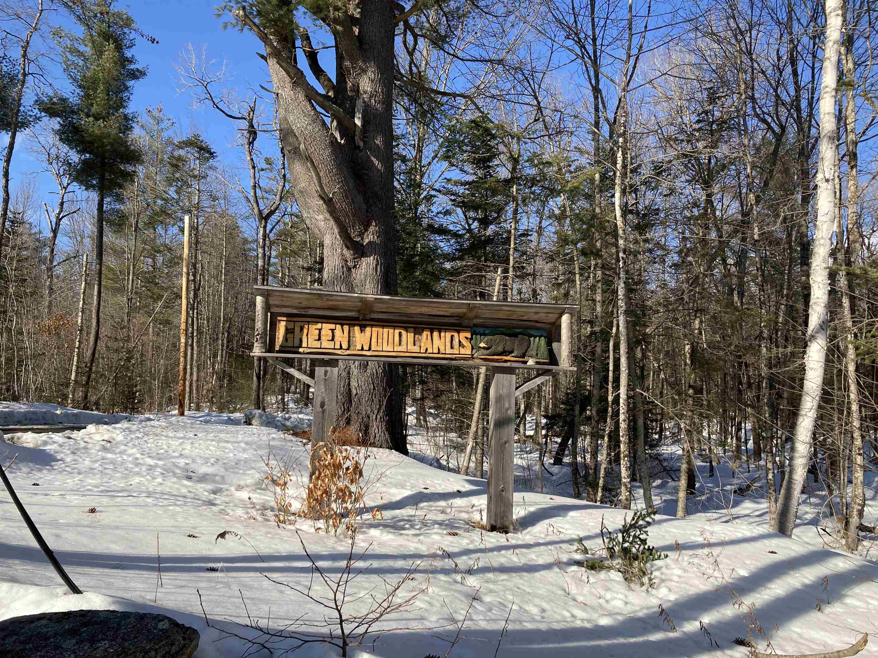 77 Williams Road Canaan, NH 03741 - Photo 58 of 59