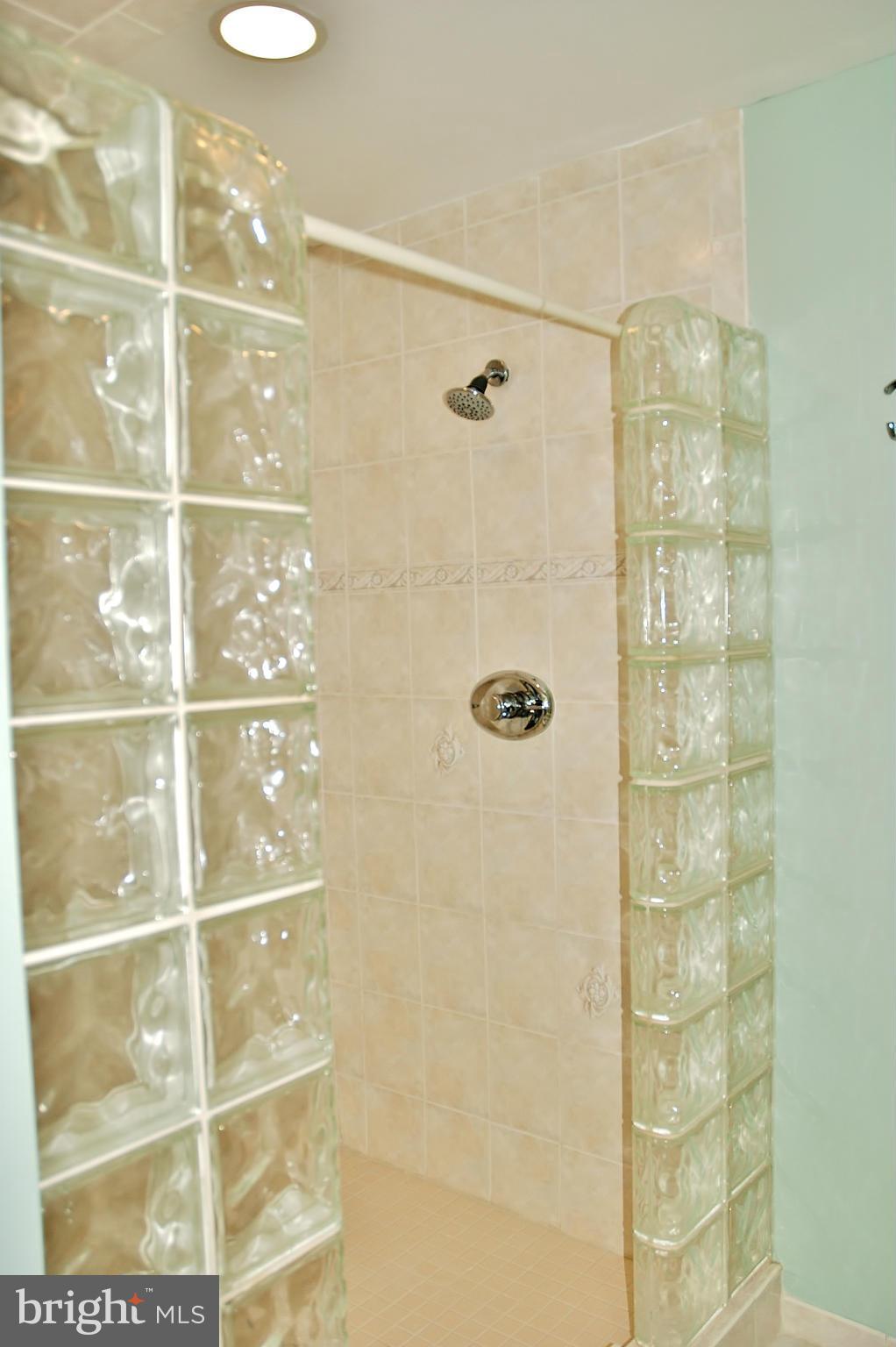 715 Winhall Way Silver Spring, MD 20904 - Photo 12 of 30 Bath (Master)