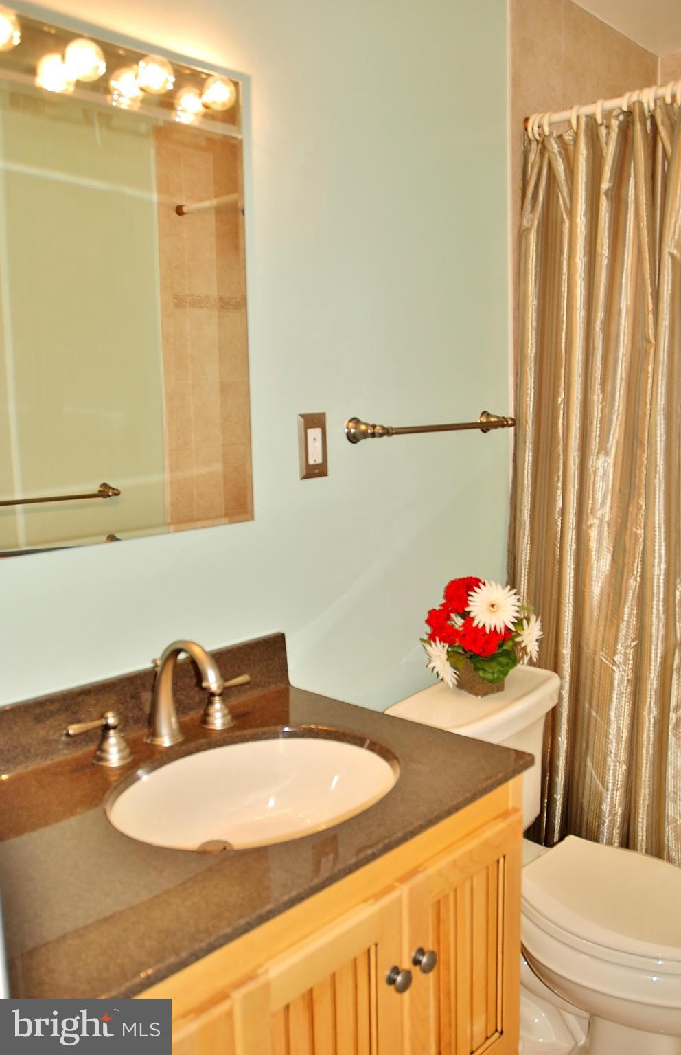715 Winhall Way Silver Spring, MD 20904 - Photo 17 of 30 Bath
