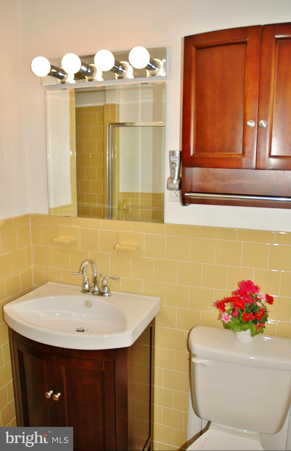 715 Winhall Way Silver Spring, MD 20904 - Photo 19 of 30 Bath (Master)