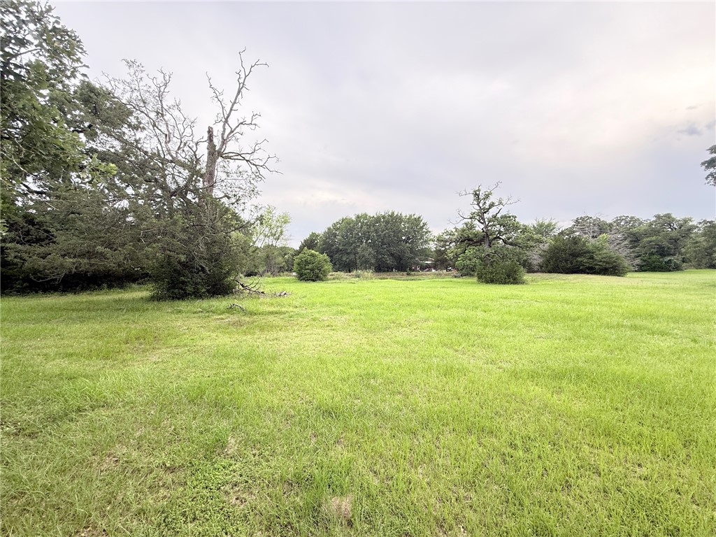 Tbd Wannabe Road Bryan, TX 77808 - Photo 10 of 42