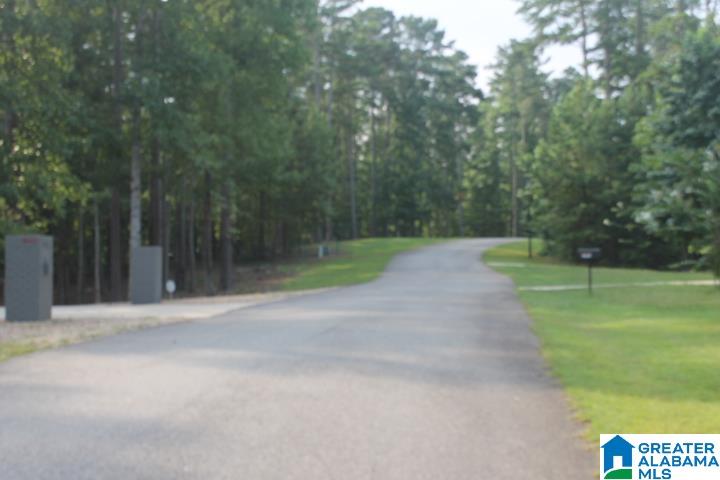 0 Red Cedar Drive, Unit 121 Wedowee, AL 36278 - Photo 15 of 21