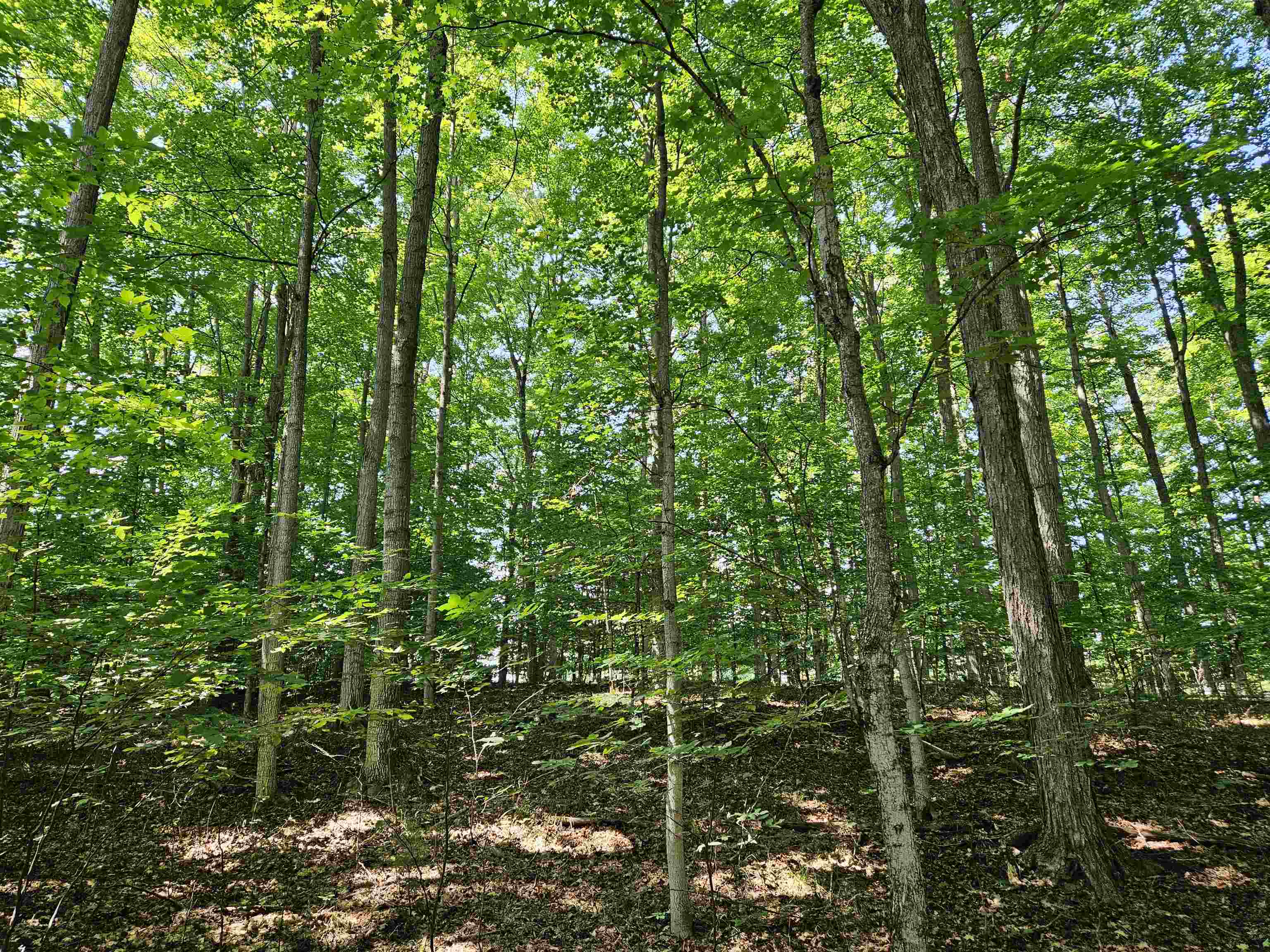 Tbd Tbd Willsey Road Traverse City, MI 49696 - Photo 9 of 22