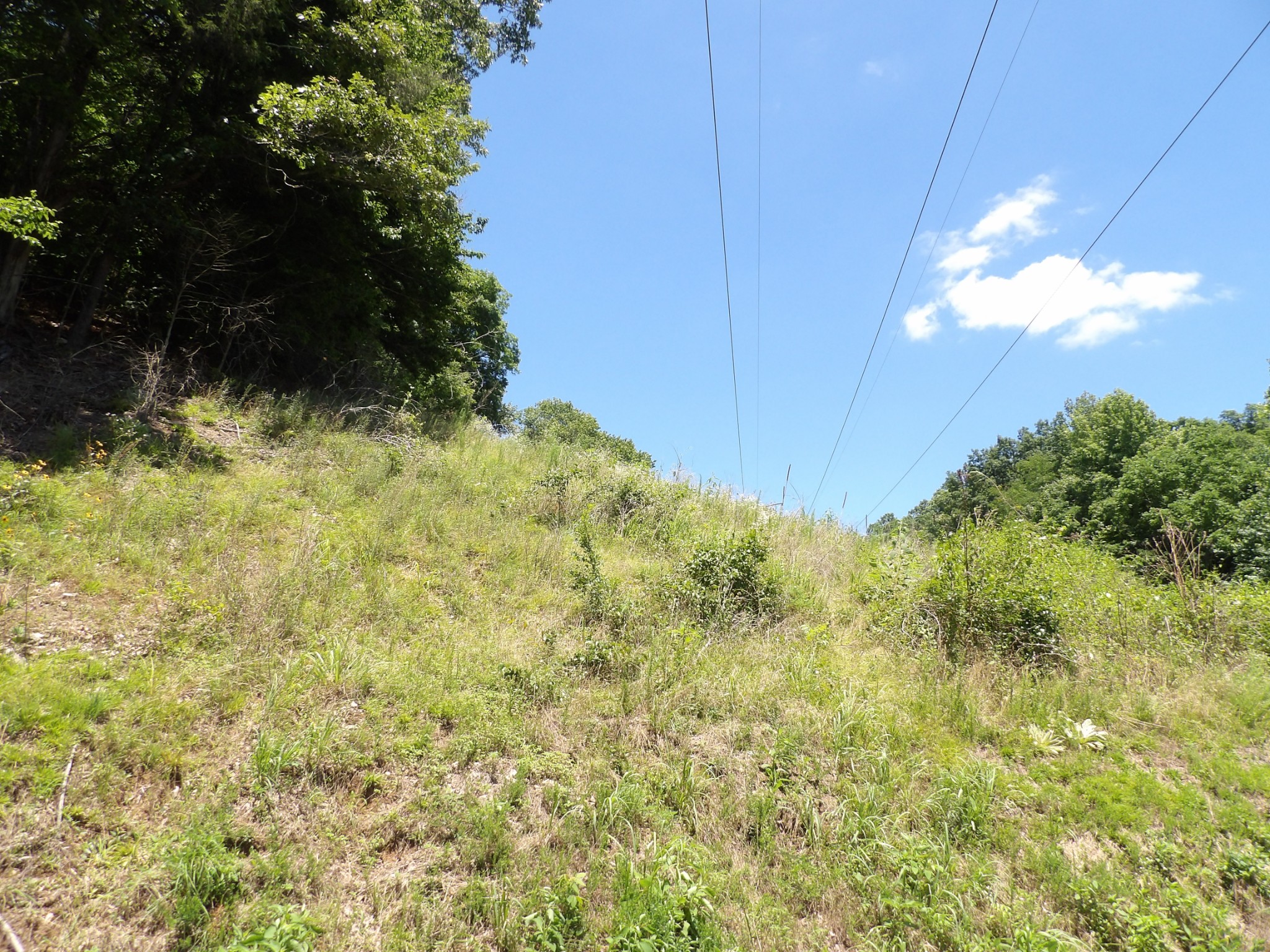 587 West Little Richland Road Waverly, TN 37185 - Photo 3 of 26
