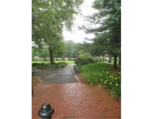 55 Magazine Street, Unit 64 Cambridge, MA 02139 - Photo 18 of 23 a view of a yard with a tree