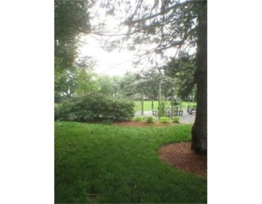 55 Magazine Street, Unit 64 Cambridge, MA 02139 - Photo 19 of 23 a view of a yard with plants and a bench