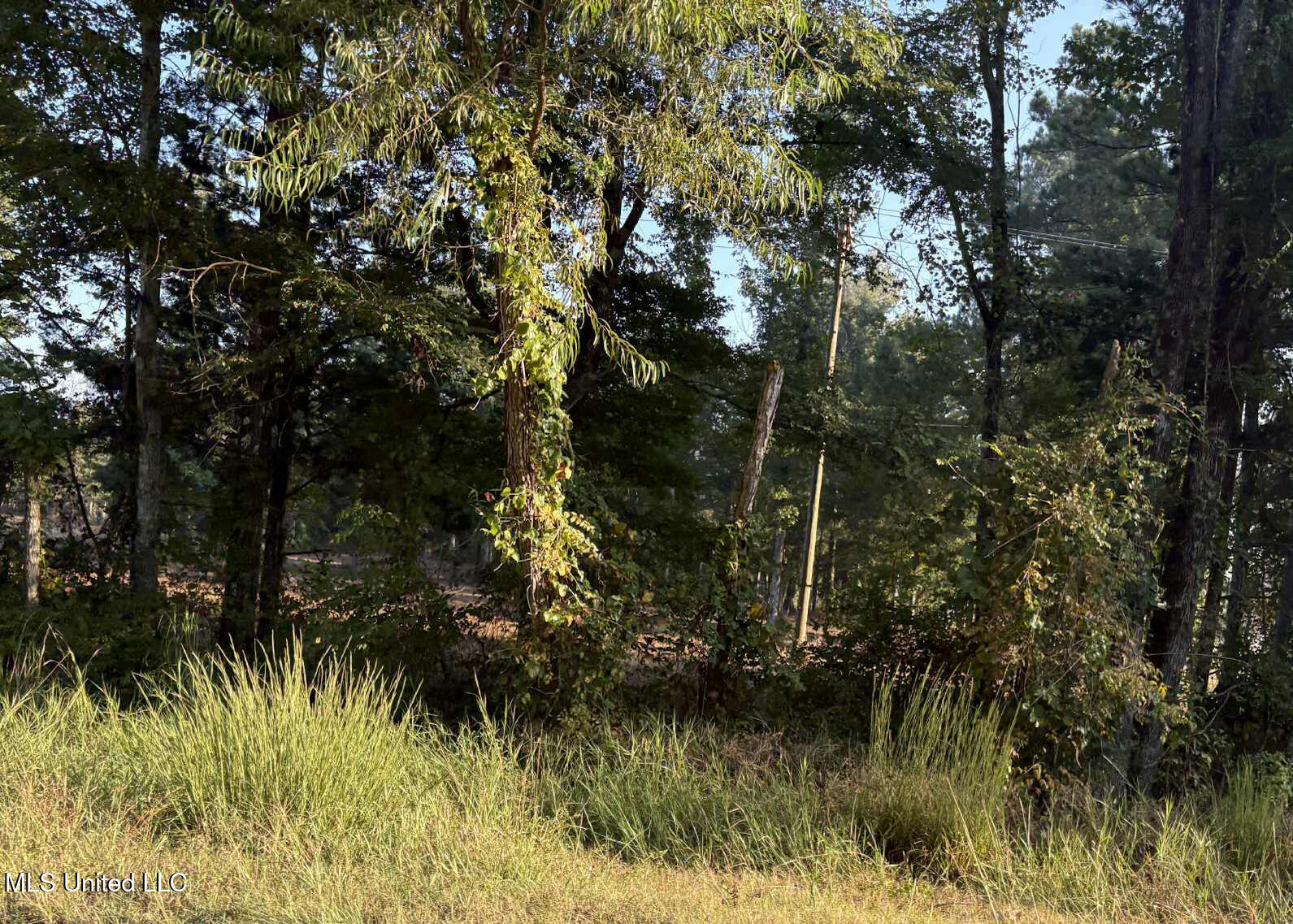 0 Highway 80 Forest, MS 39074 - Photo 1 of 3 Commercial