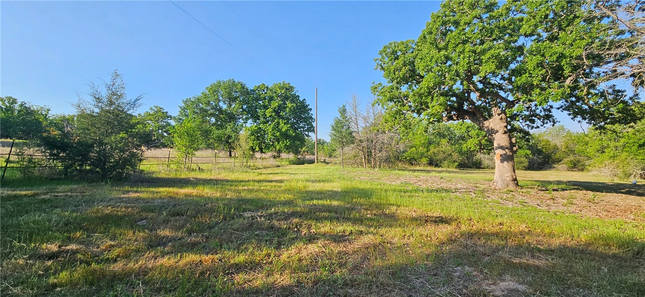 6538 Olympia Buddy Road College Station, TX 77845 - Photo 39 of 50 a garden view with large trees