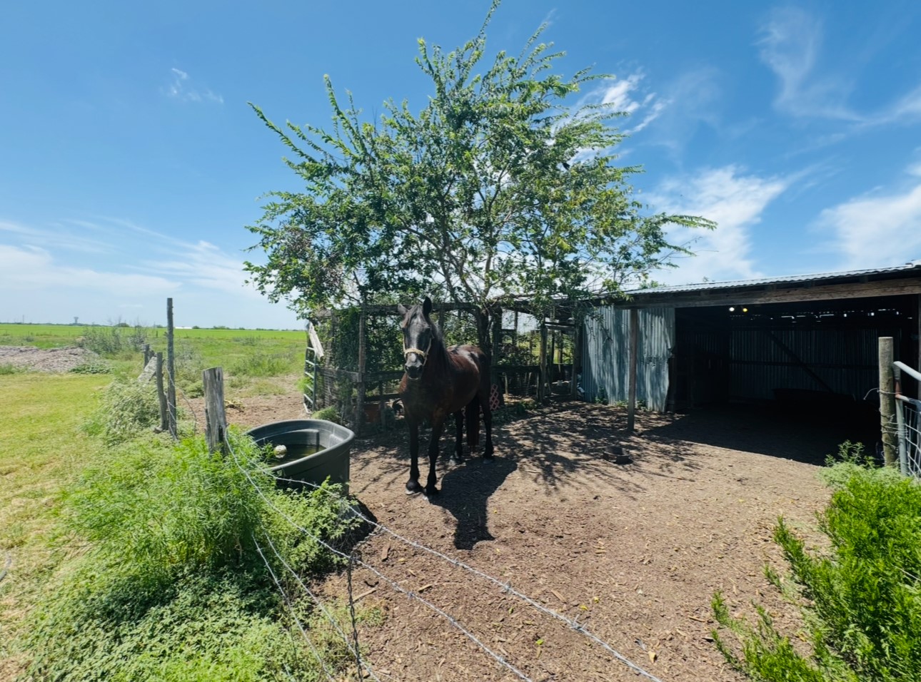 2334 County Road 464 Elgin, TX 78621 - Photo 35 of 39 a view of outdoor space and yard