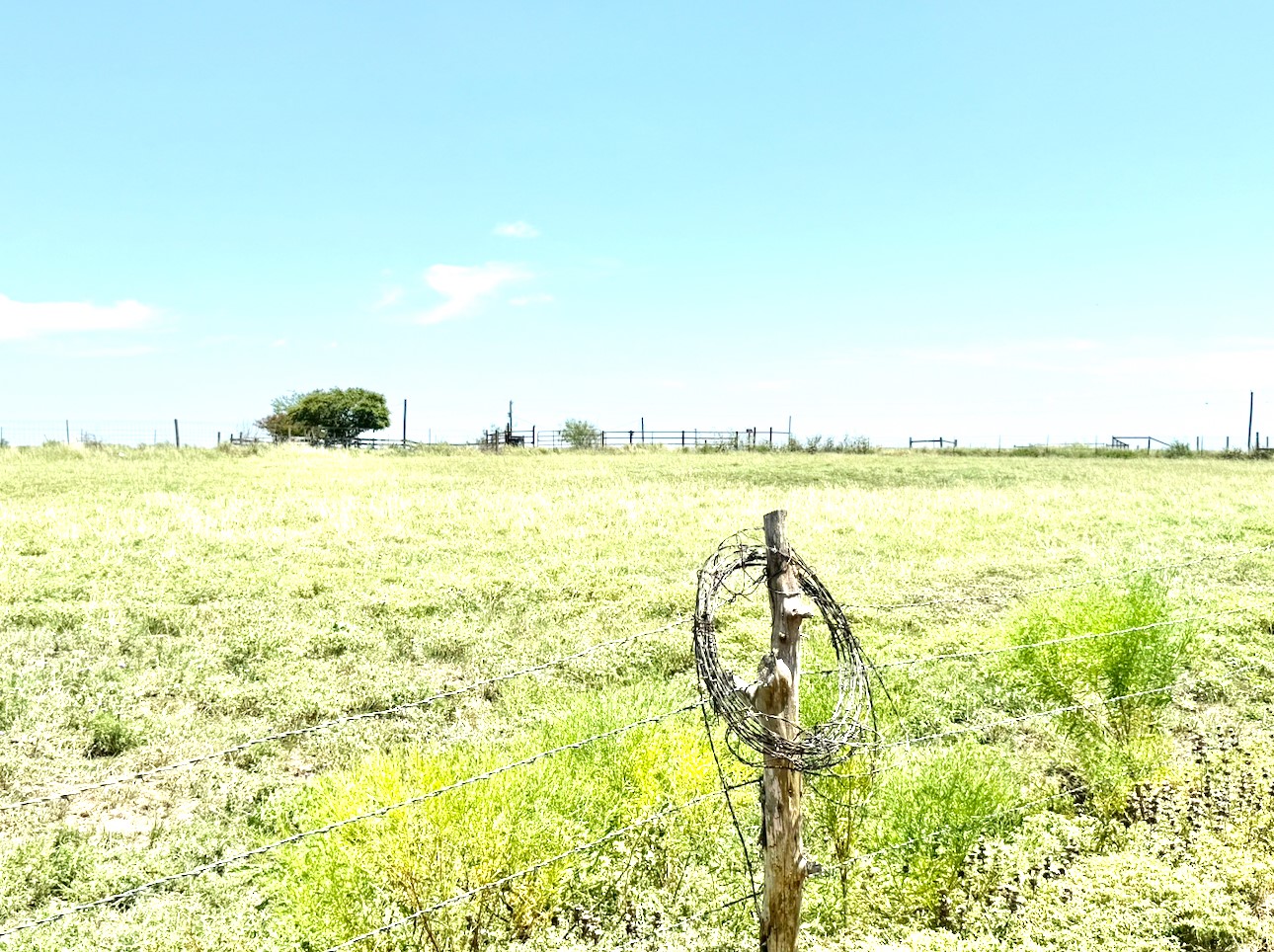 2334 County Road 464 Elgin, TX 78621 - Photo 38 of 39 a view of an ocean