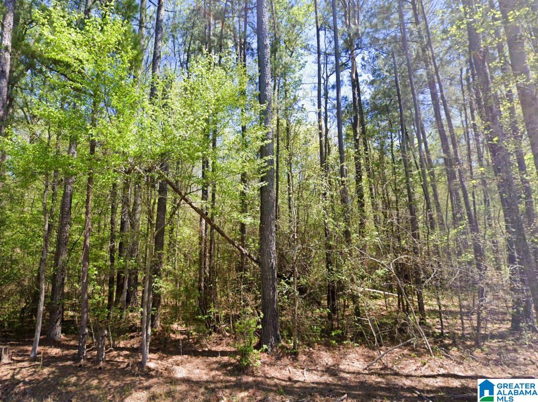 5565 Red Robin Road Sylacauga, AL 35151 - Photo 3 of 15