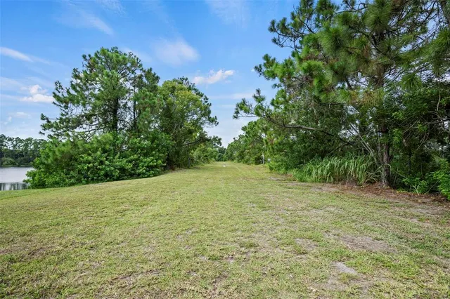 a view of outdoor space with trees all around