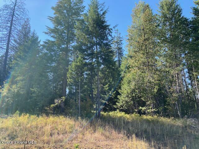 L6-b9 North Walden Loop Rathdrum, ID 83858 - Photo 2 of 5 This is a beautiful corner lot