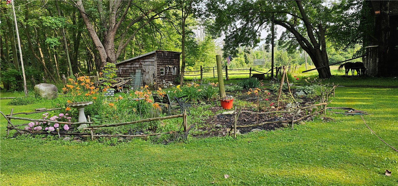 461 Lawrence Road Clarkson, NY 14420 - Photo 32 of 40