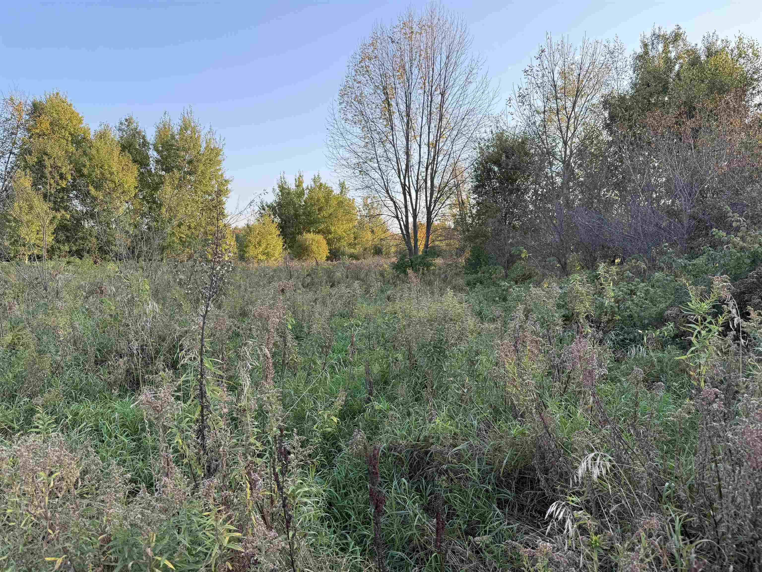 Lot 3 Eau Claire River Road Ringle, WI 54471 - Photo 19 of 19