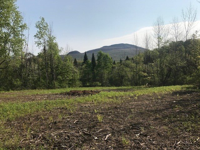 0 Three Maple Drive Manchester Center, VT 05255 - Photo 1 of 2 Gallery Image 1