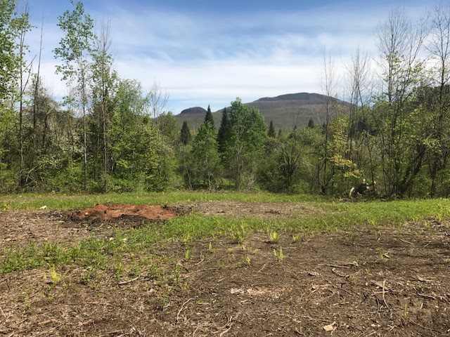 0 Three Maple Drive Manchester Center, VT 05255 - Photo 2 of 2 Gallery Image 2