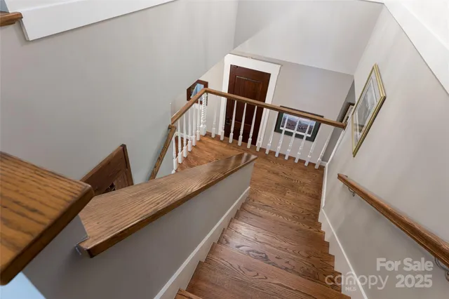 a view of a tree in a yard