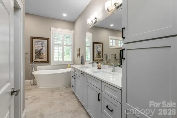 a view of a tree in a yard