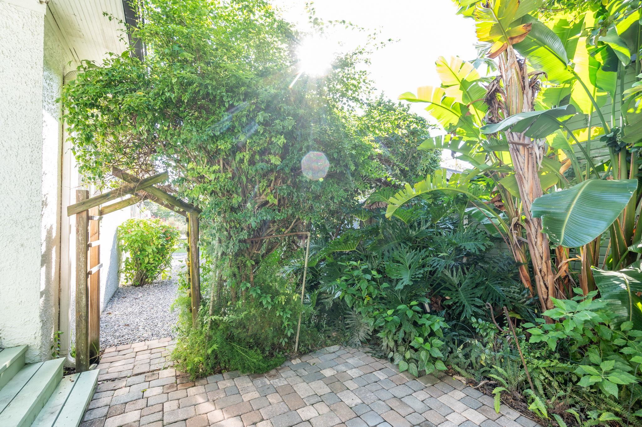 20 Riberia Street St. Augustine, FL 32084 - Photo 49 of 56 a view of a garden with plants