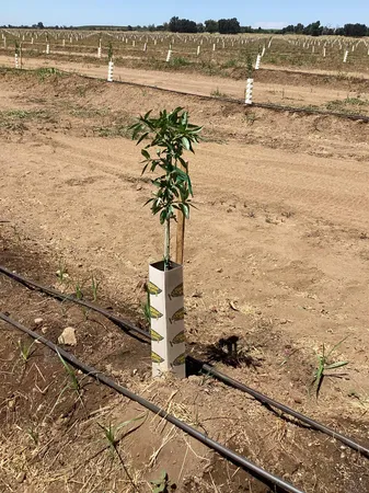 $4,900,000 | 14255 Prouty Road, Herald, CA 95638