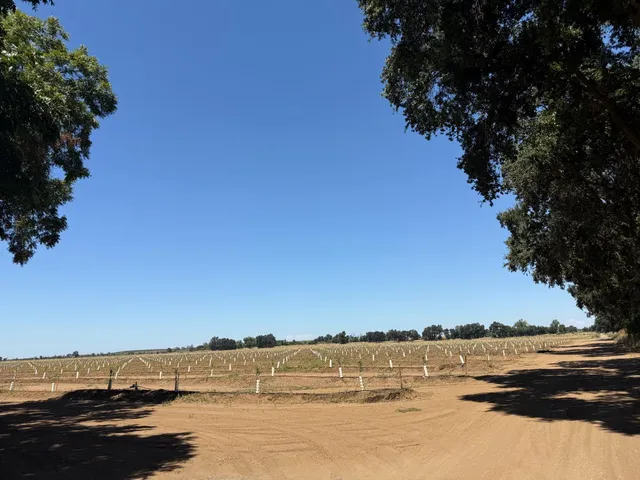 $4,900,000 | 14255 Prouty Road, Herald, CA 95638