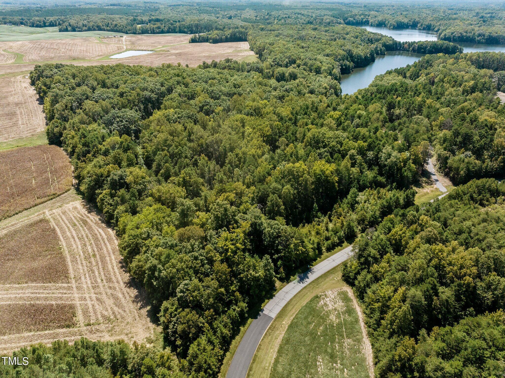 17.03-ac New Mayo Drive Roxboro, NC 27574 - Photo 1 of 14 a view of a water pond with green yard
