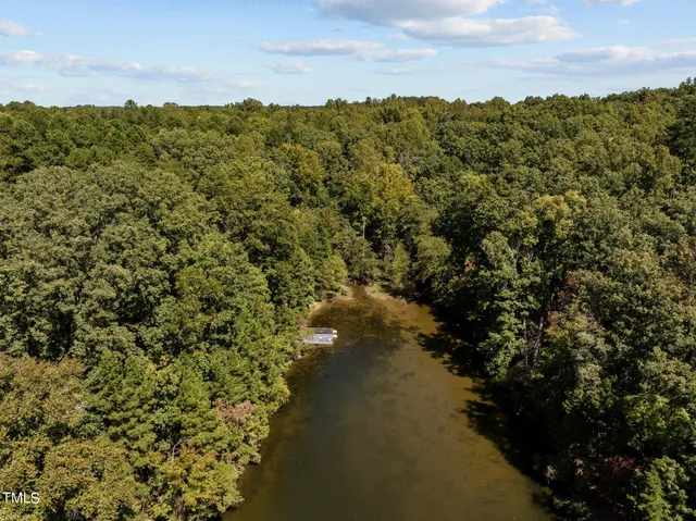 a view of a street with a forest
