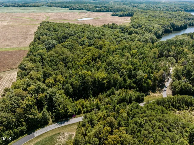a view of yard with green space