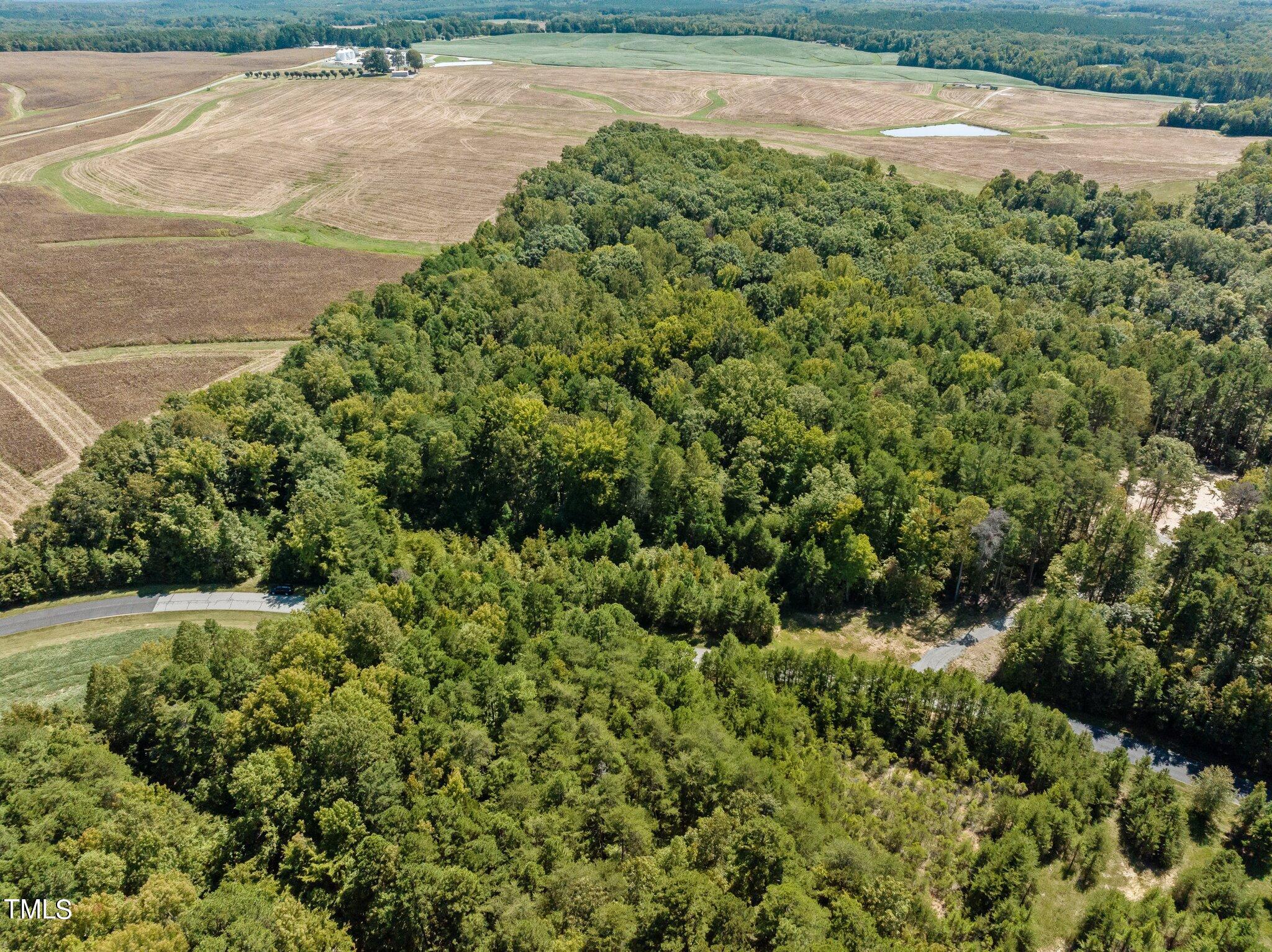 17.03-ac New Mayo Drive Roxboro, NC 27574 - Photo 5 of 14 a view of yard with green space